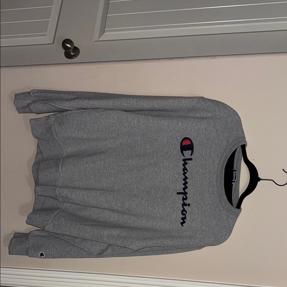 Champion Men's Crewneck Sweater in Gray